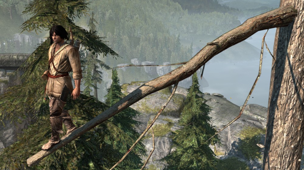 Assassin's Creed III