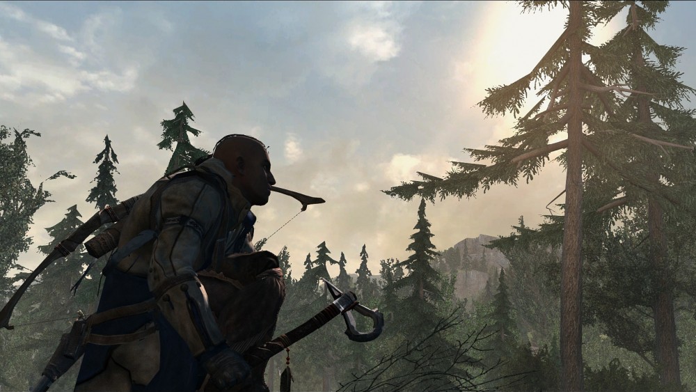 Assassin's Creed III