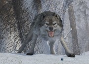 Assassin's Creed III screenshot