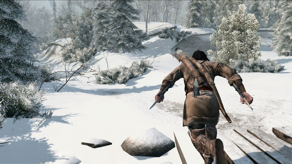 Assassin's Creed III
