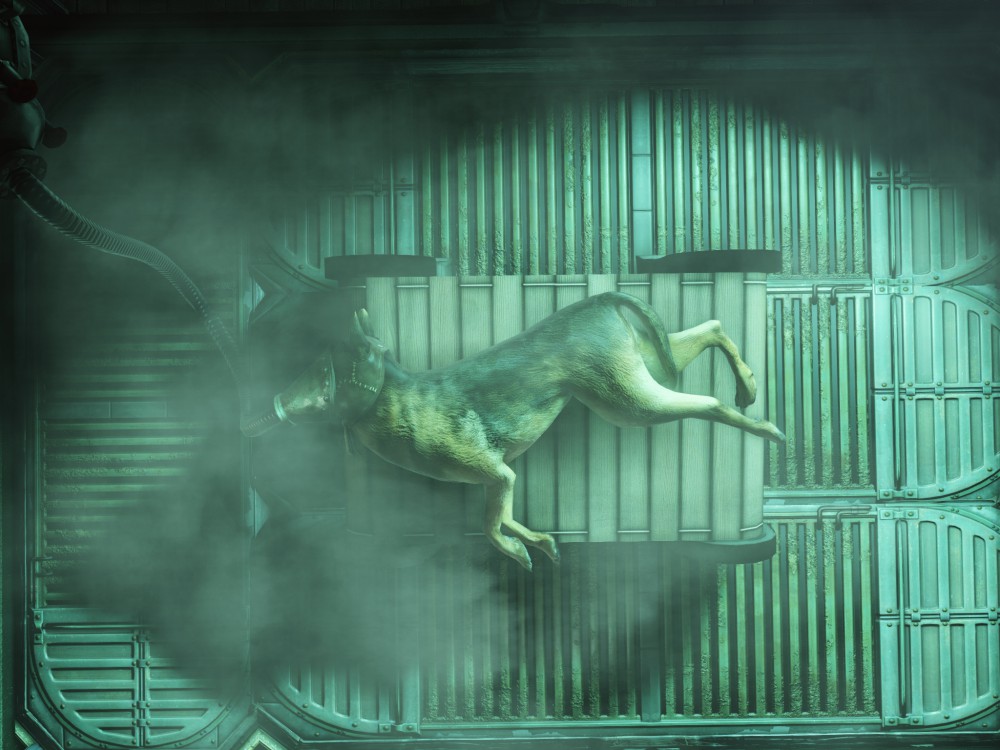 BioShock Infinite