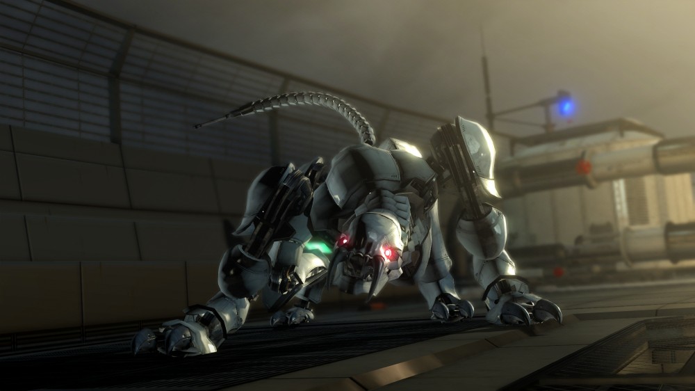 Binary Domain