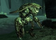 Fallout 3