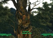 Fallout 3