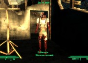 Fallout 3