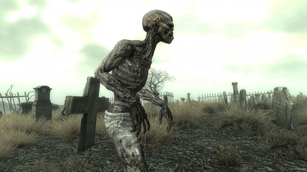Fallout 3