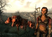 Fallout 3