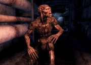Fallout 3