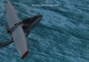 Microsoft Flight