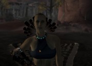Fallout screenshot