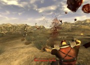 Fallout: New Vegas