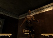 Fallout: New Vegas