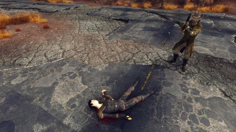 Fallout: New Vegas