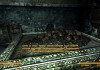 Fallout: New Vegas