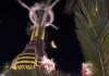 Fallout: New Vegas