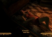 Fallout screenshot