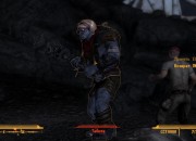Fallout: New Vegas