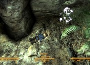 Fallout: New Vegas