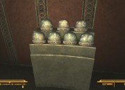 Fallout: New Vegas