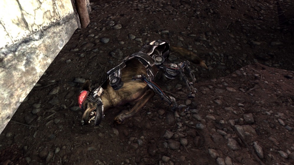 Fallout: New Vegas