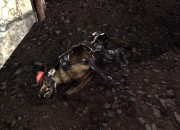 Fallout screenshot