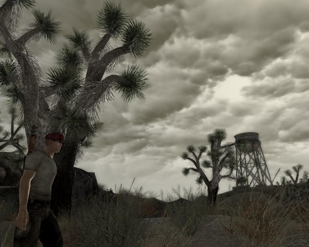 Fallout: New Vegas
