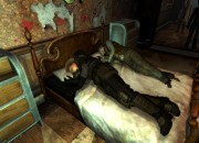 Fallout screenshot