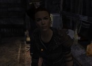 Fallout screenshot