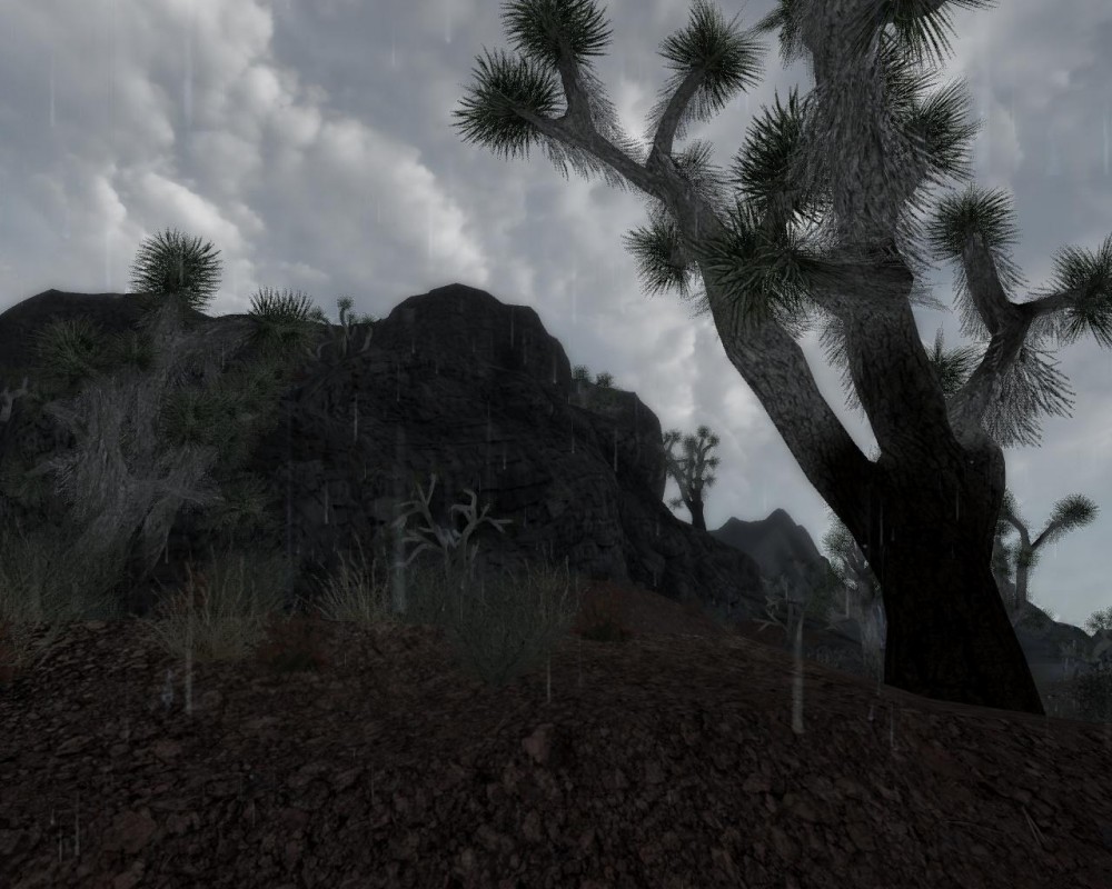 Fallout: New Vegas