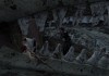 Fallout: New Vegas