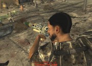 Fallout: New Vegas
