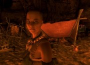 Fallout screenshot