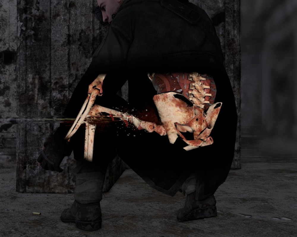 Sniper Elite V2