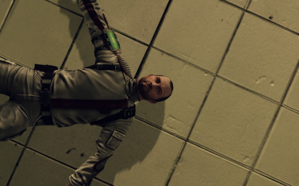 Afterfall: InSanity