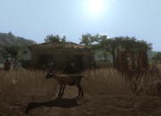 Far Cry 2 screenshot