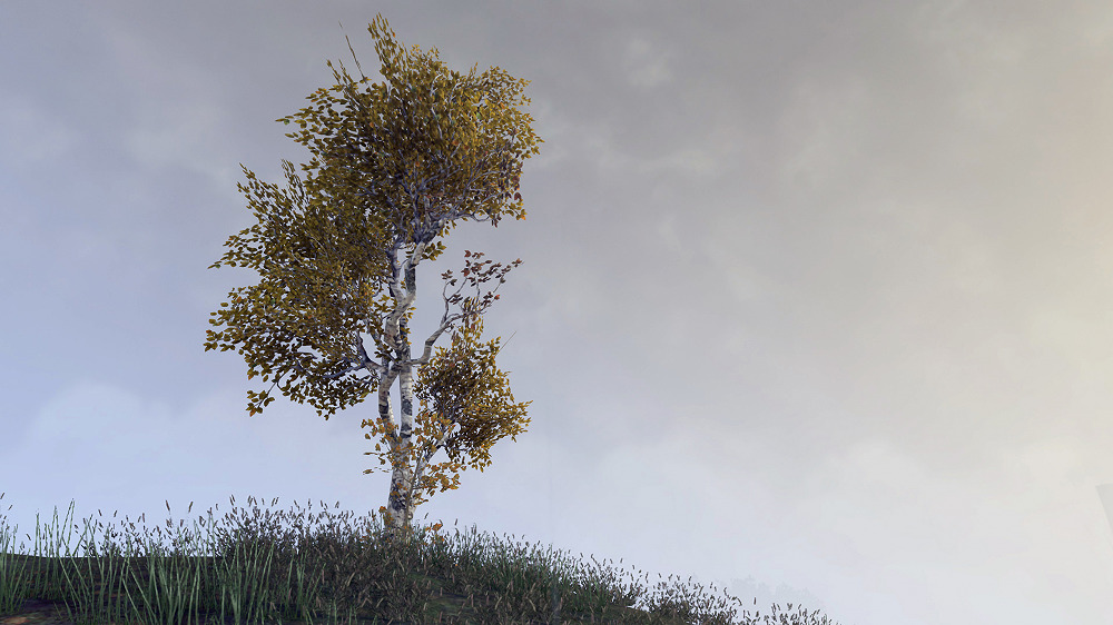 The Elder Scrolls Online