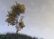 The Elder Scrolls Online