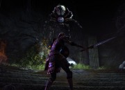 The Elder Scrolls Online screenshot