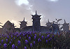 The Elder Scrolls: Online