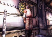 Borderlands 2