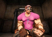 Borderlands 2 screenshot