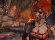 Borderlands 2