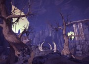 Borderlands 2