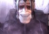 Lost Planet: Extreme Condition