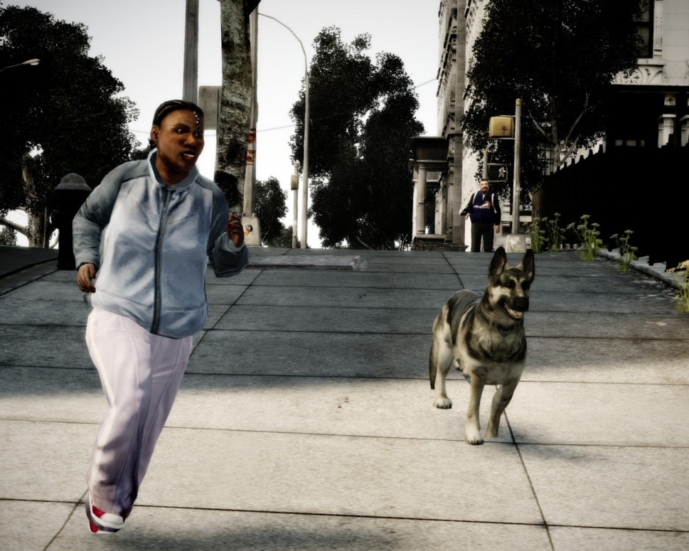 Grand Theft Auto IV