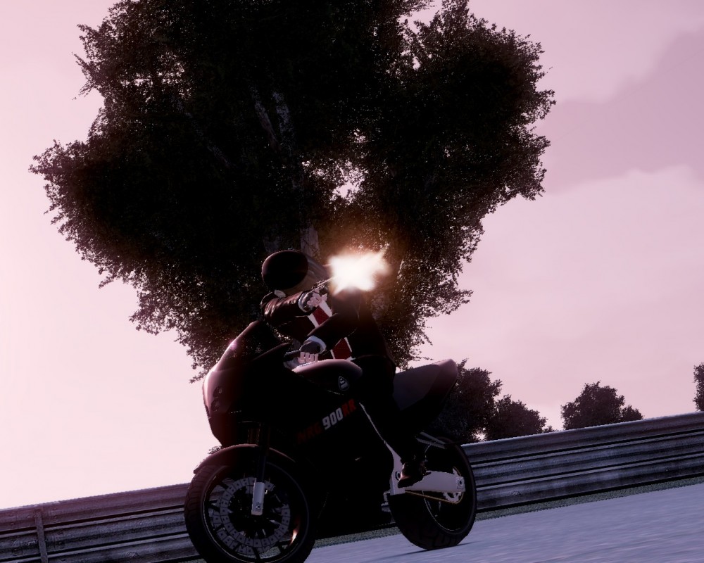 Grand Theft Auto IV