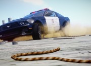 Grand Theft Auto IV