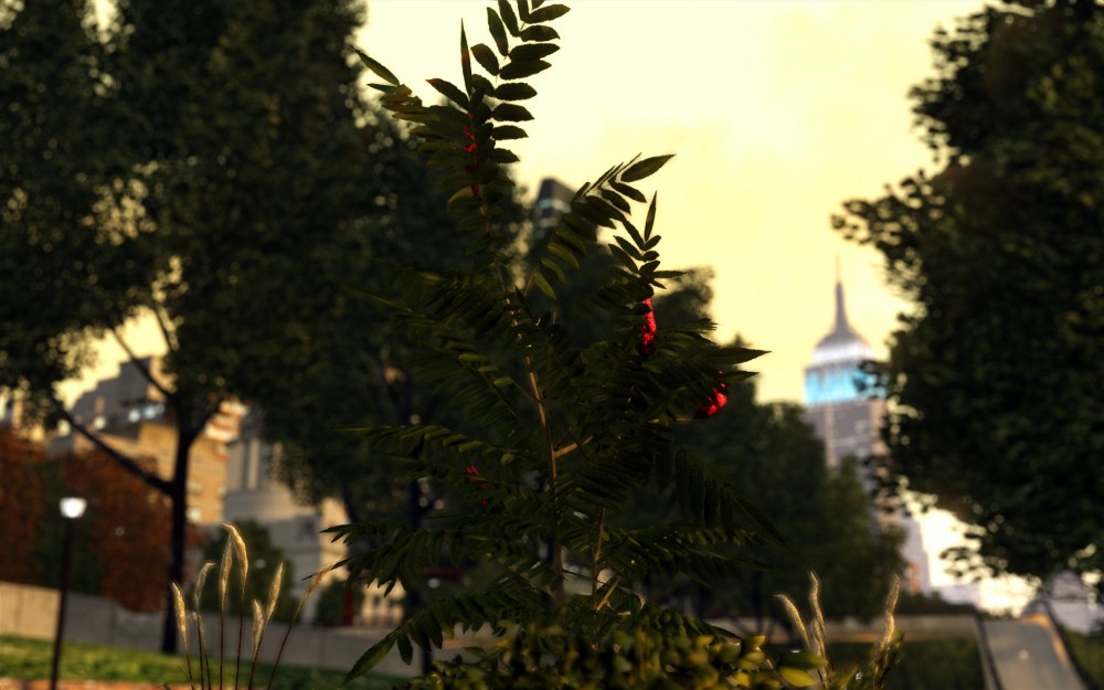 Grand Theft Auto IV