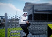 Grand Theft Auto IV
