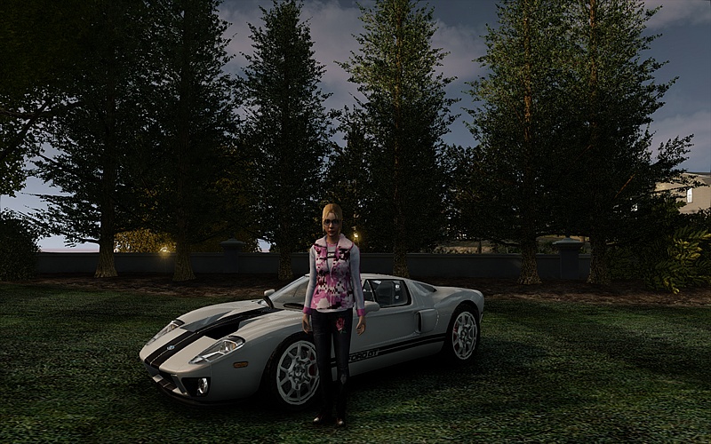 Grand Theft Auto IV